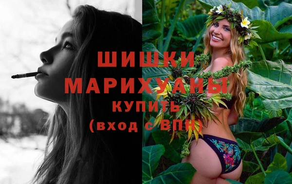 ALPHA PVP Куйбышев