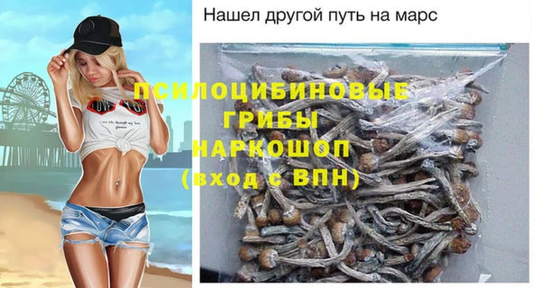 спайс Алексин