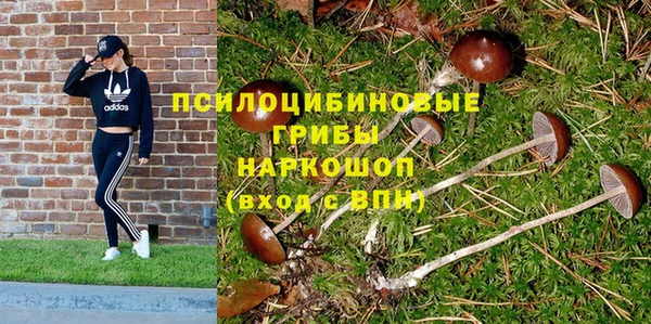 спайс Алексин