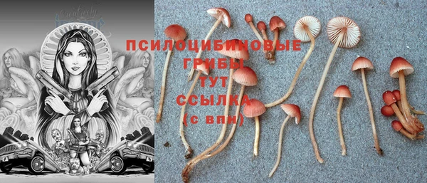 спайс Алексин